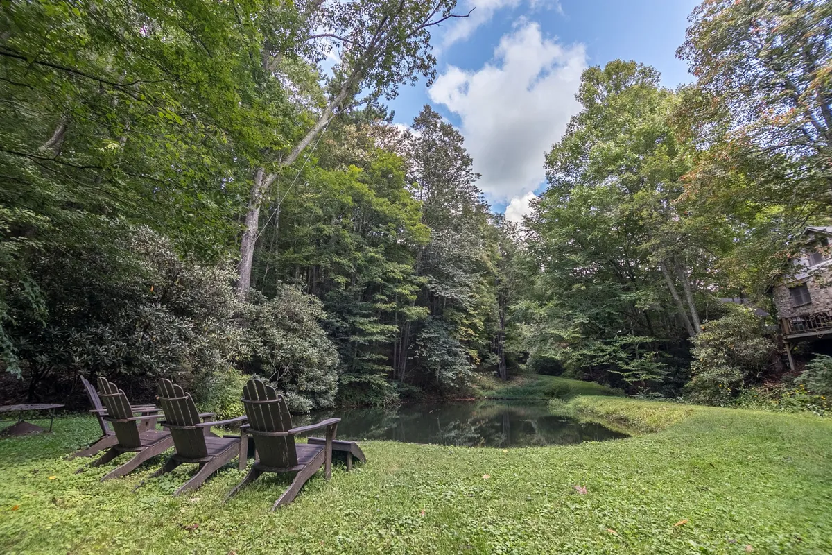 This exterior shot captures Adirondack chairs by a peaceful pond, surrounded by trees and lush grass. The location looks perfect for dog walks, outdoor play, or simply relaxing while enjoying the view. The overall mood is tranquil and welcoming to both humans and their furry companions.